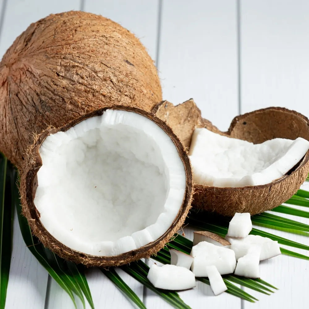 Cream of Coco Soap