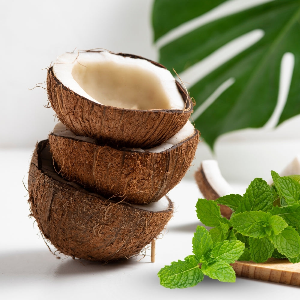 Cream of Coco Soap Pack of 3