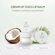 Cream of Coco Lip Balm