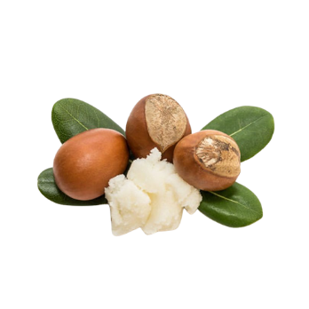 Shea Butter 