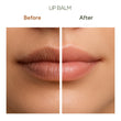 Virgin Coconut Oil Cold Pressed + Lip Balm Combo