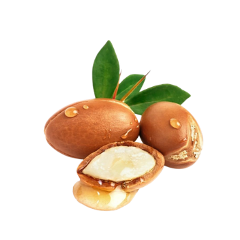 Argan Oil