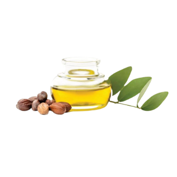 Jojoba Oil