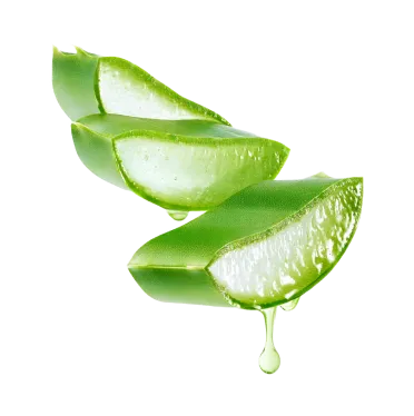 Aloe Barbadensis Leaf Extract